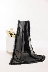 Black chiffon delicate lace dupatta